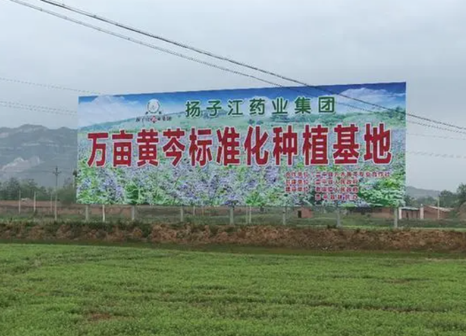 揚子江藥業:彰顯藥企責任擔當 掌握精準扶貧“金鑰匙” 揚子江藥業:彰顯藥企責任擔當 掌握精準扶貧“金鑰匙”